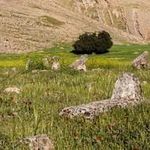 دشت شیمبار (دشت شیرین بهار)