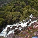 دشت شیمبار (دشت شیرین بهار)