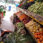سبزی فروشی جواد