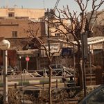 شرکت بیمه ایران