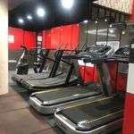 باشگاه نام آوران