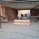قالیشویی مهدی