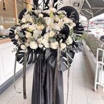 گلفروشی بلومی جهانشهر