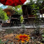 کباب کهتو راز