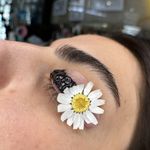 خدمات کاشت مژه گودرزی