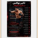 باشگاه بوکس علی پارسا