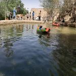 بوستان گل رز