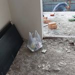 نقاش ساختمان آریانا