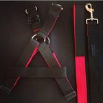 هایپر پت پرند