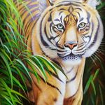 آموزشگاه نقاشی سارنگ