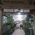 گل فروشی دیدار