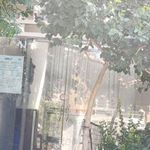 نانوایی فیاض