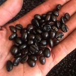 فروش عمده قهوه موسی زاده