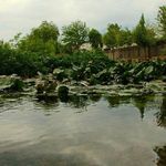 سراب چنگایی