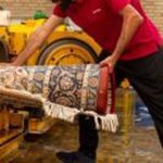 قالیشویی سلیمان