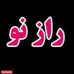 شرکت راز نو