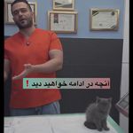 کلینیک دامپزشکی لیون