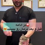 کلینیک دامپزشکی لیون