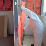 مرتضی نیک راه