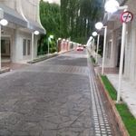 یاسر عبدی