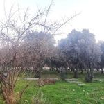 قبرستان شاهزاده حسین