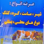 لبنیات سنتی تبریز