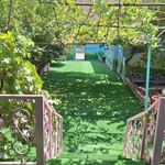 پیش دبستانی و دبستان شکوفه های گلبرگ