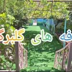 پیش دبستانی و دبستان شکوفه های گلبرگ