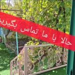 پیش دبستانی و دبستان شکوفه های گلبرگ