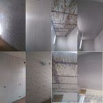 علی اکبر بشیری