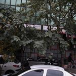 دکتر مهدی کریمی