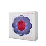 شرکت صبح ارغوان شرق