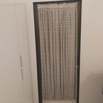 امیرحسن جنتی