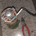 علیرضا جامی