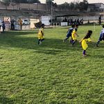 مدرسه فوتبال سفیران اتحاد اندیشه