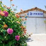 کالای تحریر آما