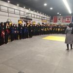 باشگاه اسکیت مایا