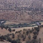 پارک جنگلی شورآب