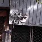 چشم آویز