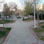 بوستان شمیم