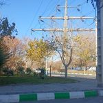 بوستان شیرازی