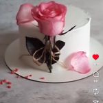 کیک و شیرینی خانگی(تولد،کافه،دسر)حفیظی