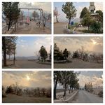 کافی شاپ باغبان