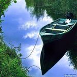 تالاب بین المللی امیر کلایه (شیخ علی کل، شاله کل)