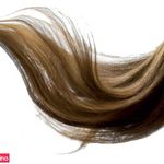 عروس سرای نیکارخ