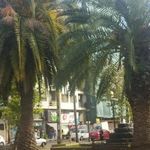 بوستان رفتگر