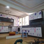 نهال چوب تیموری