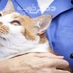 کلینیک دامپزشکی دکتر نعیمی