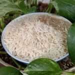 بازرگانی برنج جلودار