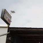 نمایندگی و اتو سرویس ایمانی